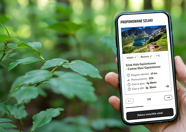 Widok projektu strony internetowej: Tatrzański Park Narodowy